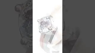Hearts in Harmony | Platinum Love Bands 2023