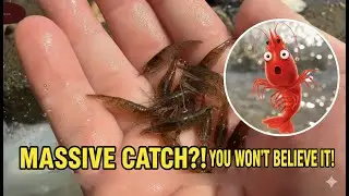 P3: Catching crabs and fish by the stream in my hometown,as well as catching small fish in the river