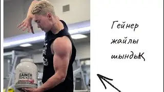 Гейнер жайлы шындык! Ол калай көмектеседі?
