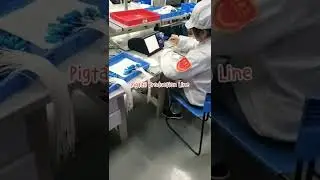 Show FTTH fiber optic pigtail production line from Chinese manufactory