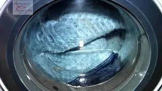 WFW9500TW Whirlpool, Blanket Test