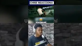 Delincuente DK - Chris Reacciona