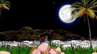 Beautiful River  Black Screen Video With Night View Background Video Effects HD 