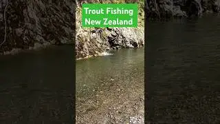 Surface strike and jump against a Rockwall- exiting River Fishing for Big  Trout