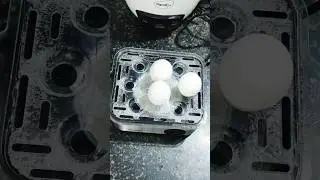 Agaro Egg Boiler Review #eggboiler #eggs #ytshorts #shorts