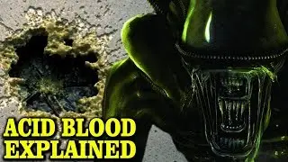 XENOMORPH: ACID BLOOD EXPLAINED - WHAT DO ALIENS EAT? LORE AND HISTORY