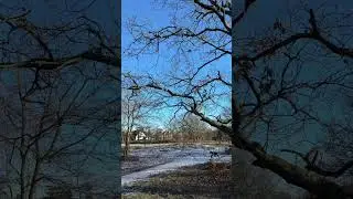Smooth Jazz 9. Relax with Jazz Cello.jazz cello relaxing music. playlistTop 10 Jazz Cello Songs