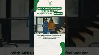 WHAT IS MOTOR NEURON DISEASE (MND)? - TheTole Acupuncture & TheTole Herbs