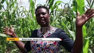 FARMERS IN KARAMOJA DEMAND FOR IRRIGATION SOLUTIONS FROM GOV'T