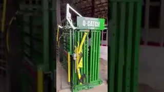 Arrowquip Q-Catch 74 Upgrade from Priefert S04 | Cattle Chute | Ricky Rains