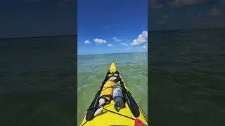year end review pt 3 #happynewyear #newyear2026 #florida #kayaking #newyeareve #yearend2025