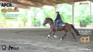 3 tappa APCR 2025 - TORTA LUDOVICA & DG ICE MASTER SPARK score 70,5
