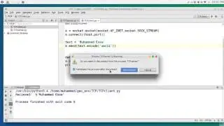 40  Python network programming TCP
