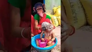 lakdi ki kathi 🤣🤣😜😜