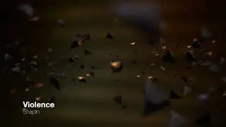 Violence