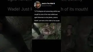 Caught a huge catfish on a regular fishing rod!