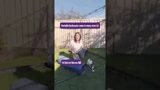 Portable Cat Enclosures made easy