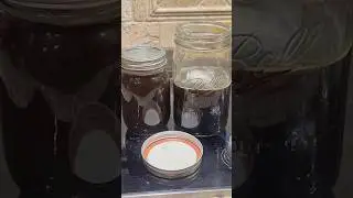 &laquo;Как вы консервируете свой самодельный кленовый сироп?!?&raquo; #домашнеехозяйство #кленовыйсироп #конс...