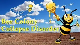 The Bee Colony Collapse Disorder