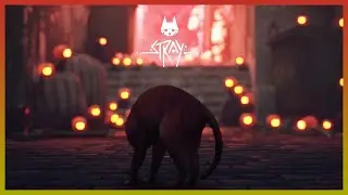 STRAY || first cute & intense chase scene || NEWEST CAT GAME