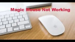Problema de conexi&oacute;n con tu Magic Mouse 2 de apple , as&iacute; lo solucion&eacute;
