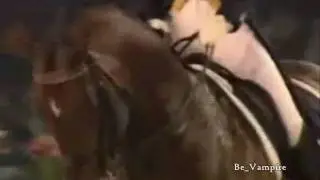 Cavalli...  Horses tribute