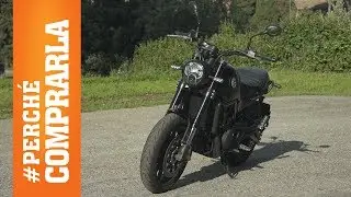 Benelli Leoncino | Perché comprarla... E perché no