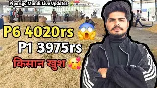 Pipariya Mandi Bhav Today 🔴 | P6 ₹4020 😱 P1 ₹3975 | मंगलावर 06 जनवरी 2026 | P1 ₹4000 दूर नहीं!