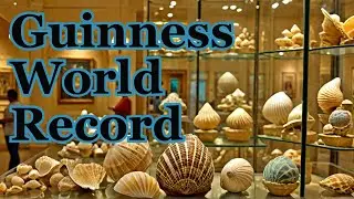 Guinness World Record Sea Shell Museum| Mysore | Art Museum #mysore #travel