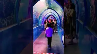 കടലിനടിയിലെ കാഴ്ചകൾ കണ്ടാലോ 😊  #kidz #travel #shortsvideo #information #vlog #viral #malayalam