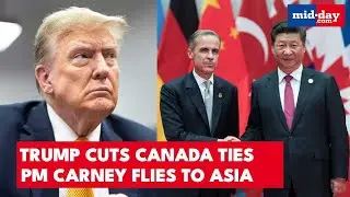 Trump-Canada SHOWDOWN: Controversial AD Angers Trump, Trade Talks Ended | WATCH
