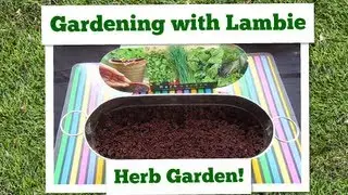 #277: Gardening with Lambie: Herb Garden - LambCam