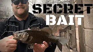 The SECRET BAIT for BASS FISHING
