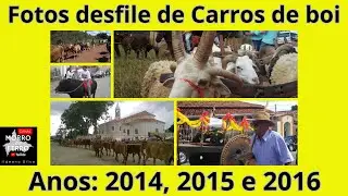 FOTOS DO DESFILE DE CARROS DE BOI