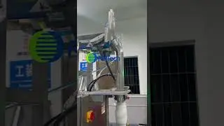 Automated Garlic Feeding, Counting, and Packaging Production Line