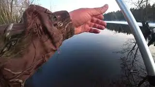 Первая рыба открытой воды. Протока в оз. Длинное. Рыбалка 24.03.22.