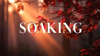 SOAKING - Instrumental Worship Music & Prayer Music | Instrumental for Prayer, Devotion, and Peace