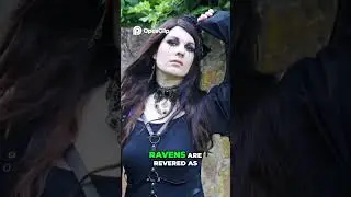Ravens  Nature's Intelligent Companions and Symbols