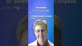 Want to Learn the Latest Evidence-Based Practices for Managing Contaminated and Compromised Wounds?
