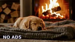 🔴 8 Hours Cozy Cabin Ambience: Deep Sleep Puppy Music for Stress Relief & Total Relaxation ✨🐾