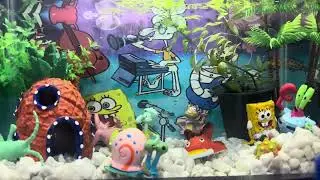 Mis peces guppy tuvieron cr&iacute;as 