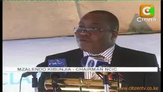 Proposed Constitution Campaigns