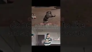crash and eddie /#shoet video animation and reels/🤣🤔🤪ice age !!!
