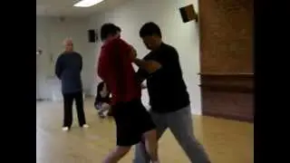 Fighting Arts - Yin Style Bagua - Capturing Attacks