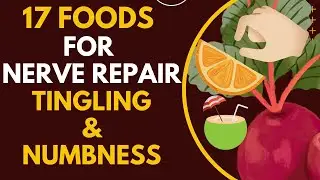 17 Foods for Nerve Repair- Understanding the Causes of Numbness and Tingling in Hands and Feet
