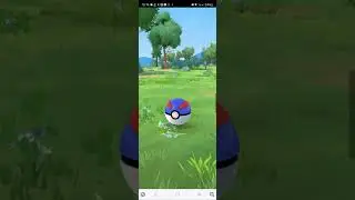 Catching a Pok&eacute;mon    #cute #evolve #games #pokemon #pokemongo #catching #catchingpokemon