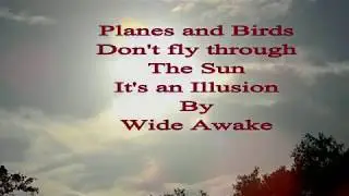 Planes and Birds Don't Fly Through The Sun It's an Illusion By Wide Awake