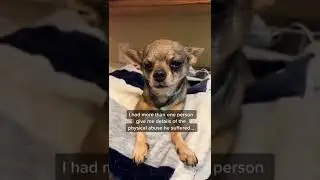 He wouldn&rsquo;t move for days because of what she did to him&hellip; #dogrescue #rescuemission