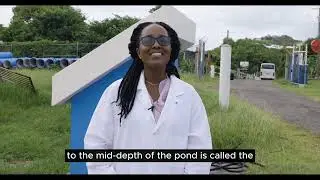 GWP-C #IWWM Video Series: 