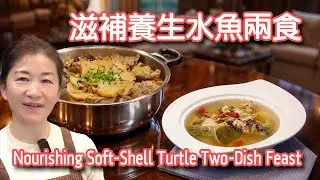 滋補養生水魚兩食 Nourishing Soft-Shell Turtle Two-Dish Feast